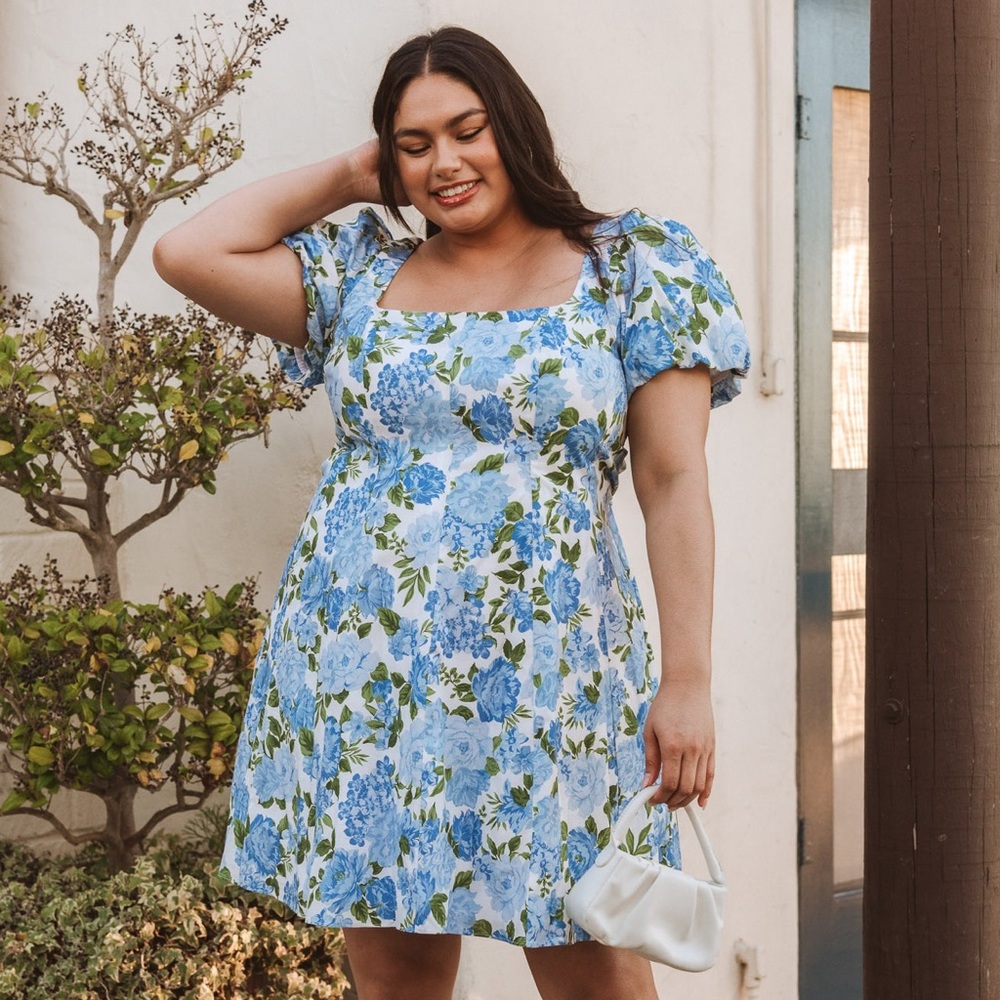 Show Me Your MuMu Mia Cottage Blue Floral Dress